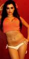 Westchester NY Escorts