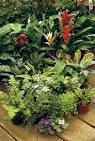Small, Tropical Reptile Vivariums