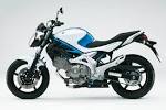 Suzuki Gladius 650 Picture