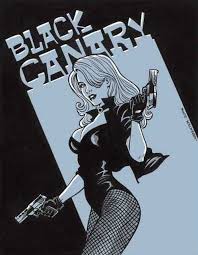 nixsight : found objects (Black Canary by Anthony Carpenter) - tumblr_lip6hs65zZ1qdep0so1_500