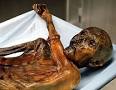 Ötzi the Iceman - Wikipedia, the free encyclopedia