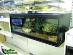 Snake Housing