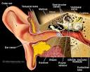 Information on vestibular balance disorders (causing dizziness ...