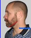 all about beards: designing a neck line