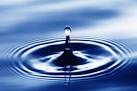 Water Wisely | Glen's Landscape & Lighting