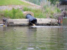 external image images?q=tbn:ANd9GcTJNXjgpx54liGvKvyeUCsDnu84OLD-OX2cdplMF2i04dheWDvi