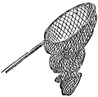 Net Clipart