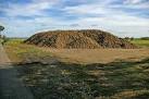 For more information on sugar beet growing and processing Link - via Daymix