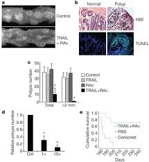 ... Eckhard Alt, Xiaowen Bai, Shaoyi Huang, Zhengming Xu, Patrick M. Lynch, Mary P. Moyer, Xian-Feng Wen \u0026amp; Xiangwei Wu. Nature 464, 1058-1061(15 April 2010) - nature08871-f3.2