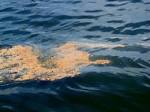 An oil slick from the oil - via Daymix