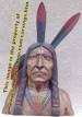 Click on an Indian bust to see a larger image and additional views - c_pi53t