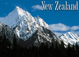 Hội thảo trung học New Zealand - Ảnh 1