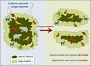 Habitat Fragmentation | Wildflower Turf and Green Roofs Blog