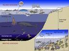 bathypelagic zone -- Exploring Nature Educational Resource