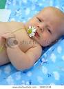 Zinaida Esepciuc « Evenimentul ZiNei - stock-photo-baby-boy-holding-a-camomile-flower-26811334