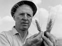 Norman Borlaug, Nobel Prize Winner, Food Scientist, Dies At 95 ... - norman-borlaug-nobel-prize-winner-food-scientist-dies-at-95