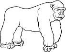 Gorilla coloring page