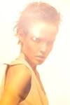 Amstel by Stefano Viti for