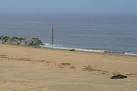 An annual spectacle on the beach at Horsey is seal weaning. - via Daymix