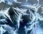 Empress of Dirt: frost/ pond art