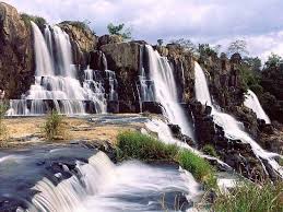 Tour Du Lịch Rừng Madagui Thác Dam B'ri 2 ngày