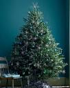 Christmas: How to Pick Out a Christmas Tree - Martha Stewart
