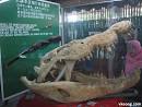Jong's Crocodile Farm | Malaysia Food, Travel & Tourism Blog
