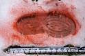 Forensic Science | Scene Of Crime