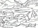 Antarctica coloring page