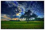 20 Impressive Examples Of Tree Photography | Smash Materials