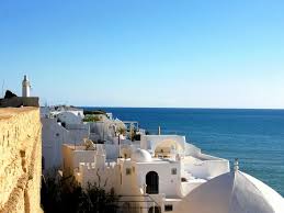 برنامج سياحي لتونس تابع لفعاليات 2013 Images?q=tbn:ANd9GcTMbSur5Bt4lGLWYQ8-BMCIsA6wC4Hp9tbaKJ-5s_fnftVs6NpL