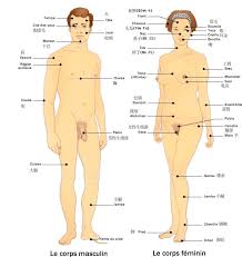 external image images?q=tbn:ANd9GcTMb_xaR_OY36LxA3UTkGOcVXuMxyAho_61Lh75cjsLeKL7LdIakA