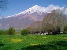 طبیعت کوه دماون - کردستان