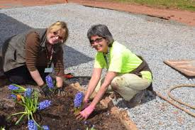 ... Gay Orfe, Diana Propper, Linda Sims, Cinny MacGonagle, Andrea Cavallero, Carol Falcone, Connie Hughes and Linda Bradway planted and beautified the ninth ... - 11185351-large