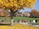 NYS College Guide/Campus Profile - 52