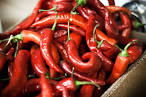  Contest:  Win a Red Hot Chili Peppers Prize Pack