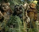 Ewok - Wookieepedia, the Star Wars Wiki