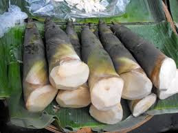 bamboo shoot