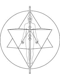 the light body