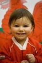 wales dragon rugby flag