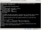 Learning About Stack Smashing Exploits | Mine the Harvest