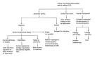 Abnormal Uterine Bleeding - October 1, 1999 - American Family ...