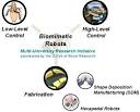 Biomimetic Robotics