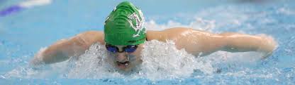 Image result for SwimSwansea