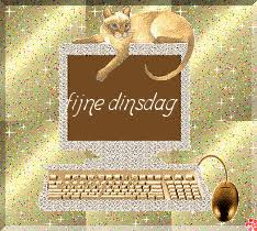 images?q=tbn:ANd9GcTNlMDTCW6fEzaE_T0zU-RnLCXS4N8-mRsmKmQq_dE2tN5StQOF&t=1