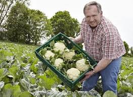 Uwe Beutelmann | Love my Salad