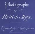 ANNA ATKINS - Wikipedia, the free encyclopedia