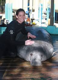 Amber Howell, a UH-Hilo Marine Science student, since Amber Howell alumni picture graduating from UH-Hilo has worked for the Florida Fish and Wildlife ... - Amber%20Howell%20alumni%20pic