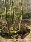 slightly soluble bedrock - via Daymix
