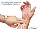 Radial pulse: MedlinePlus Medical Encyclopedia Image